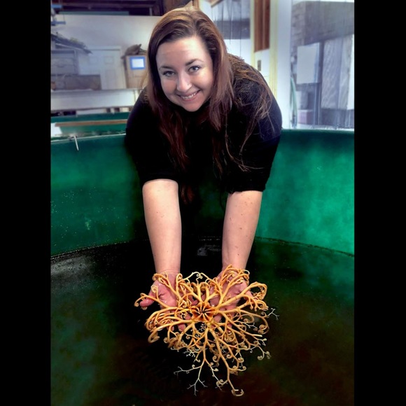 Meet your Posher, Mackenna - Picture 1 of 1